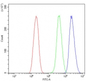 Flow cytometry testing of human U-2 OS cells with LXR beta antibody at 1ug/million cells (blocked with goat sera); Red=cells alone, Green=isotype control, Blue= LXR beta antibody.