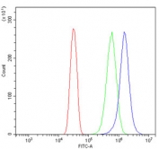 Flow cytometry testing of human U-2 OS cells with NRXN3 antibody at 1ug/million cells (blocked with goat sera); Red=cells alone, Green=isotype control, Blue= NRXN3 antibody.