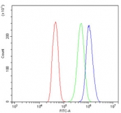 Flow cytometry testing of human Caco-2 cells with PCBP1 antibody at 1ug/million cells (blocked with goat sera); Red=cells alone, Green=isotype control, Blue= PCBP1 antibody.