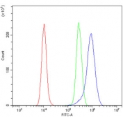 Flow cytometry testing of mouse RAW264.7 cells with PCBP1 antibody at 1ug/million cells (blocked with goat sera); Red=cells alone, Green=isotype control, Blue= PCBP1 antibody.