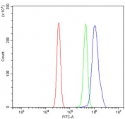 Flow cytometry testing of rat RH35 cells with PCBP1 antibody at 1ug/million cells (blocked with goat sera); Red=cells alone, Green=isotype control, Blue= PCBP1 antibody.