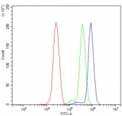 Flow cytometry testing of human ThP-1 cells with PCBP2 antibody at 1ug/million cells (blocked with goat sera); Red=cells alone, Green=isotype control, Blue= PCBP2 antibody.