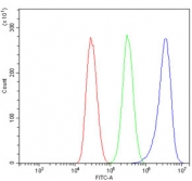 Flow cytometry testing of mouse HEPA1-6 cells with RAB1B antibody at 1ug/million cells (blocked with goat sera); Red=cells alone, Green=isotype control, Blue= RAB1B antibody.