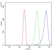 Flow cytometry testing of human U-2 OS cells with SHISA6 antibody at 1ug/million cells (blocked with goat sera); Red=cells alone, Green=isotype control, Blue= SHISA6 antibody.