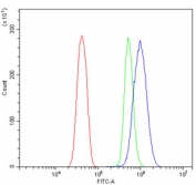 Flow cytometry testing of rat RH35 cells with Trem2 antibody at 1ug/million cells (blocked with goat sera); Red=cells alone, Green=isotype control, Blue= Trem2 antibody.