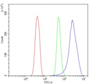 Flow cytometry testing of rat RH35 cells with Tspan1 antibody at 1ug/million cells (blocked with goat sera); Red=cells alone, Green=isotype control, Blue= Tspan1 antibody.