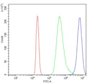 Flow cytometry testing of mouse RAW264.7 cells with Tspan8 antibody at 1ug/million cells (blocked with goat sera); Red=cells alone, Green=isotype control, Blue= Tspan8 antibody.