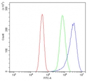 Flow cytometry testing of human A431 cells with UBE2D1/2/3/4 antibody at 1ug/million cells (blocked with goat sera); Red=cells alone, Green=isotype control, Blue= UBE2D1/2/3/4 antibody.