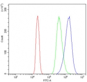 Flow cytometry testing of mouse RAW264.7 cells with UBE2D1/2/3/4 antibody at 1ug/million cells (blocked with goat sera); Red=cells alone, Green=isotype control, Blue= UBE2D1/2/3/4 antibody.
