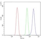 Flow cytometry testing of rat RH35 cells with UBE2D1/2/3/4 antibody at 1ug/million cells (blocked with goat sera); Red=cells alone, Green=isotype control, Blue= UBE2D1/2/3/4 antibody.