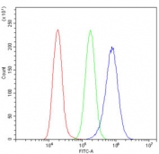 Flow cytometry testing of human A549 cells with CKAP5 antibody at 1ug/million cells (blocked with goat sera); Red=cells alone, Green=isotype control, Blue= CKAP5 antibody.