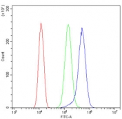 Flow cytometry testing of human SiHa cells with Isocitrate Dehydrogenase 2 antibody at 1ug/million cells (blocked with goat sera); Red=cells alone, Green=isotype control, Blue= Isocitrate Dehydrogenase 2 antibody.