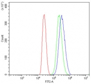 Flow cytometry testing of human MCF7 cells with PEPCK2 antibody at 1ug/million cells (blocked with goat sera); Red=cells alone, Green=isotype control, Blue= PEPCK2 antibody.