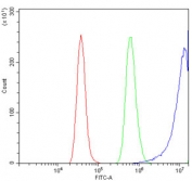 Flow cytometry testing of rat RH35 cells with EIF4A1 antibody at 1ug/million cells (blocked with goat sera); Red=cells alone, Green=isotype control, Blue= EIF4A1 antibody.