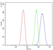 Flow cytometry testing of mouse HEPA1-6 cells with eRF1 antibody at 1ug/million cells (blocked with goat sera); Red=cells alone, Green=isotype control, Blue= eRF1 antibody.