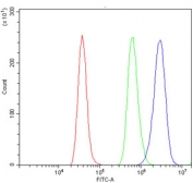 Flow cytometry testing of rat RH35 cells with ETF1 antibody at 1ug/million cells (blocked with goat sera); Red=cells alone, Green=isotype control, Blue= ETF1 antibody.