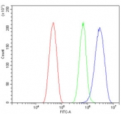 Flow cytometry testing of mouse HEPA1-6 cells with ETF1 antibody at 1ug/million cells (blocked with goat sera); Red=cells alone, Green=isotype control, Blue= ETF1 antibody.