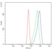 Flow cytometry testing of human Caco-2 cells with PROM1 antibody at 1ug/million cells (blocked with goat sera); Red=cells alone, Green=isotype control, Blue= PROM1 antibody.