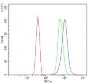 Flow cytometry testing of human SiHa cells with Carbonic Anhydrase I antibody at 1ug/million cells (blocked with goat sera); Red=cells alone, Green=isotype control, Blue= Carbonic Anhydrase I antibody.