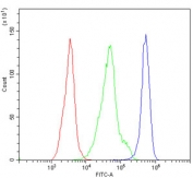 Flow cytometry testing of mouse PBM cells with Cd97 antibody at 1ug/million cells (blocked with goat sera); Red=cells alone, Green=isotype control, Blue= Cd97 antibody.