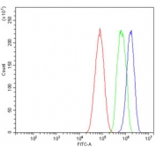 Flow cytometry testing of human HepG2 cells with Cadherin 2 antibody at 1ug/million cells (blocked with goat sera); Red=cells alone, Green=isotype control, Blue= N-Cadherin antibody.