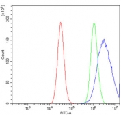 Flow cytometry testing of human PC-3 cells with Cadherin 11 antibody at 1ug/million cells (blocked with goat sera); Red=cells alone, Green=isotype control, Blue= OB-Cadherin antibody.