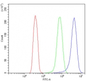 Flow cytometry testing of human HeLa cells with Cadherin 13 antibody at 1ug/million cells (blocked with goat sera); Red=cells alone, Green=isotype control, Blue= Cadherin 13 antibody.