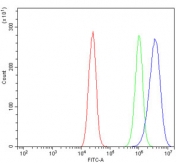 Flow cytometry testing of human Caco-2 cells with Claudin 7 antibody at 1ug/million cells (blocked with goat sera); Red=cells alone, Green=isotype control, Blue= Claudin 7 antibody.