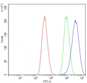 Flow cytometry testing of human A549 cells with COL7A1 antibody at 1ug/million cells (blocked with goat sera); Red=cells alone, Green=isotype control, Blue= COL7A1 antibody.