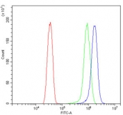 Flow cytometry testing of human HeLa cells with GMP Synthase antibody at 1ug/million cells (blocked with goat sera); Red=cells alone, Green=isotype control, Blue= GMP Synthase antibody.