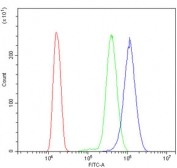 Flow cytometry testing of human HL60 cells with GRSF1 antibody at 1ug/million cells (blocked with goat sera); Red=cells alone, Green=isotype control, Blue= GRSF1 antibody.