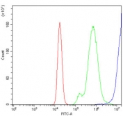 Flow cytometry testing of human Raji cells with CD20 antibody at 1ug/million cells (blocked with goat sera); Red=cells alone, Green=isotype control, Blue= CD20 antibody.