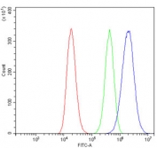 Flow cytometry testing of human 293T cells with Neurofilament Light antibody at 1ug/million cells (blocked with goat sera); Red=cells alone, Green=isotype control, Blue= Neurofilament Light antibody.