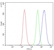 Flow cytometry testing of human 293T cells with Neurofilament Light antibody at 1ug/million cells (blocked with goat sera); Red=cells alone, Green=isotype control, Blue= Neurofilament Light antibody.