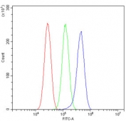 Flow cytometry testing of human U-87 MG cells with PSEN2 antibody at 1ug/million cells (blocked with goat sera); Red=cells alone, Green=isotype control, Blue= PSEN2 antibody.