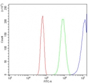 Flow cytometry testing of mouse Neuro-2a cells with Stathmin 2 antibody at 1ug/million cells (blocked with goat sera); Red=cells alone, Green=isotype control, Blue= Stathmin 2 antibody.