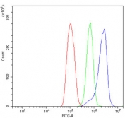 Flow cytometry testing of human ThP-1 cells with PARP antibody at 1ug/million cells (blocked with goat sera); Red=cells alone, Green=isotype control, Blue= PARP antibody.