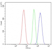 Flow cytometry testing of human U-87 MG cells with Mannose Phosphate Isomerase antibody at 1ug/million cells (blocked with goat sera); Red=cells alone, Green=isotype control, Blue= Mannose Phosphate Isomerase antibody.