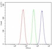 Flow cytometry testing of human U-87 MG cells with UBE3A antibody at 1ug/million cells (blocked with goat sera); Red=cells alone, Green=isotype control, Blue= UBE3A antibody.