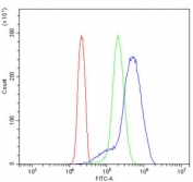 Flow cytometry testing of human U937 cells with RBP-JK antibody at 1ug/million cells (blocked with goat sera); Red=cells alone, Green=isotype control, Blue= RBP-JK antibody.
