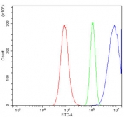 Flow cytometry testing of human A549 cells with TKT antibody at 1ug/million cells (blocked with goat sera); Red=cells alone, Green=isotype control, Blue= TKT antibody.