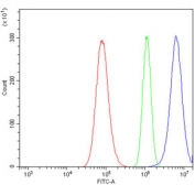 Flow cytometry testing of human A549 cells with Transketolase antibody at 1ug/million cells (blocked with goat sera); Red=cells alone, Green=isotype control, Blue= Transketolase antibody.