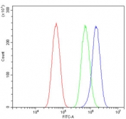 Flow cytometry testing of human U-87 mG cells with Siglec-4a antibody at 1ug/million cells (blocked with goat sera); Red=cells alone, Green=isotype control, Blue= Siglec-4a antibody.