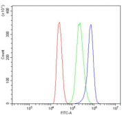 Flow cytometry testing of human MCF7 cells with DDX1 antibody at 1ug/million cells (blocked with goat sera); Red=cells alone, Green=isotype control, Blue= DDX1 antibody.