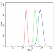 Flow cytometry testing of human MCF7 cells with DDX1 antibody at 1ug/million cells (blocked with goat sera); Red=cells alone, Green=isotype control, Blue= DDX1 antibody.