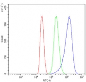 Flow cytometry testing of human MCF7 cells with DDX1 antibody at 1ug/million cells (blocked with goat sera); Red=cells alone, Green=isotype control, Blue= DDX1 antibody.