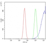 Flow cytometry testing of human A431 cells with TUBA1 antibody at 1ug/million cells (blocked with goat sera); Red=cells alone, Green=isotype control, Blue= TUBA1 antibody.