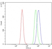 Flow cytometry testing of rat RH35 cells with ATP5MC1/2/3 antibody at 1ug/million cells (blocked with goat sera); Red=cells alone, Green=isotype control, Blue= ATP5MC1/2/3 antibody.