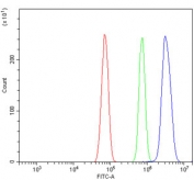 Flow cytometry testing of rat RH35 cells with TORC1/CRTC1 antibody at 1ug/million cells (blocked with goat sera); Red=cells alone, Green=isotype control, Blue= TORC1/CRTC1 antibody.