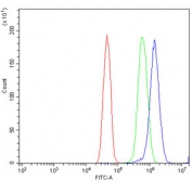 Flow cytometry testing of human U-251 cells with VPRBP antibody at 1ug/million cells (blocked with goat sera); Red=cells alone, Green=isotype control, Blue= VPRBP antibody.